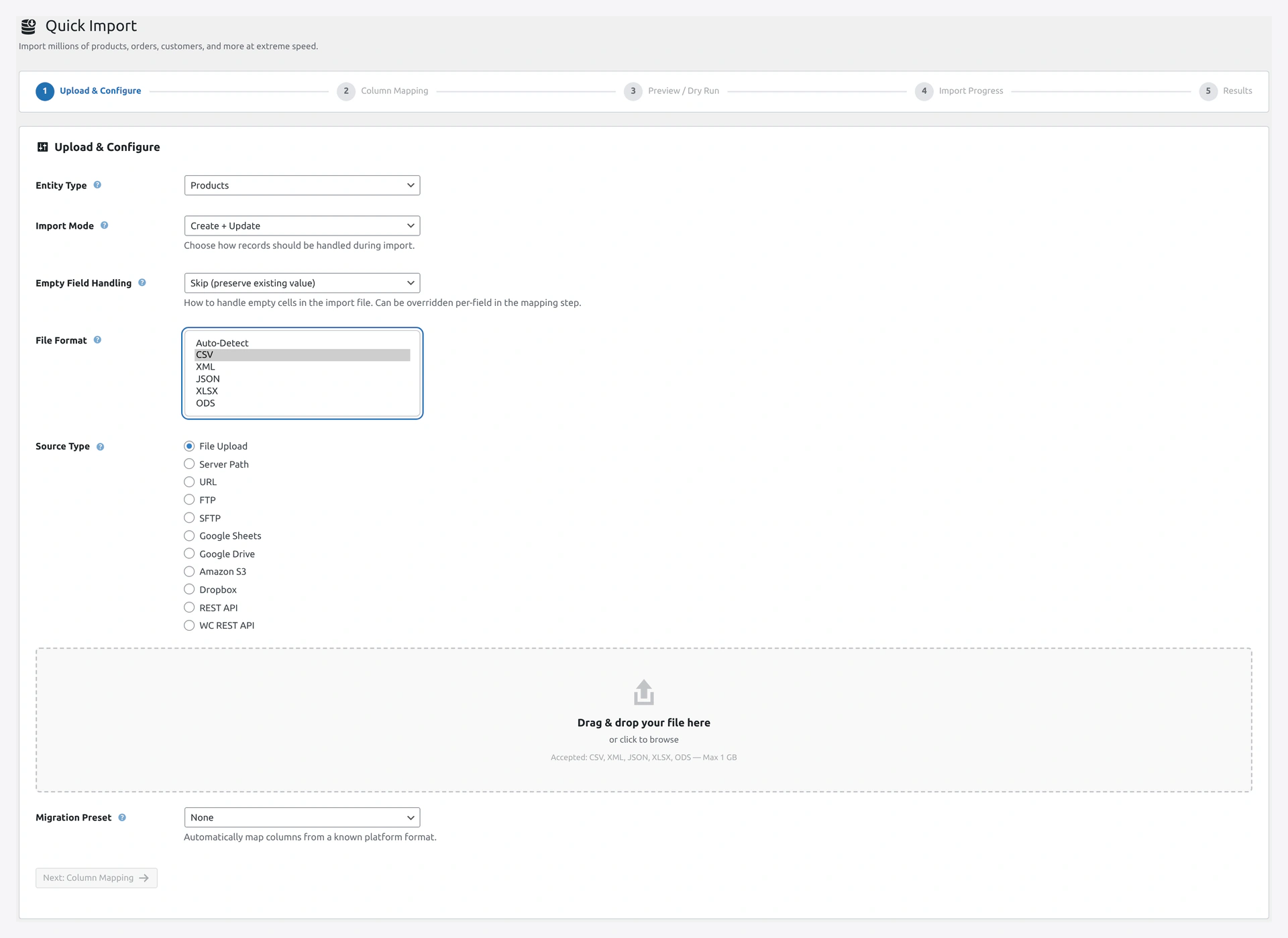 File Format dropdown